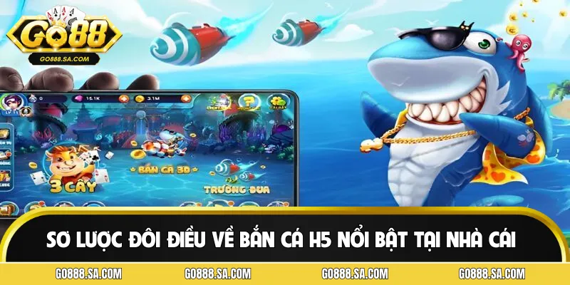 Đôi điều về chuyên mục bắn cá H5 tại cổng cược