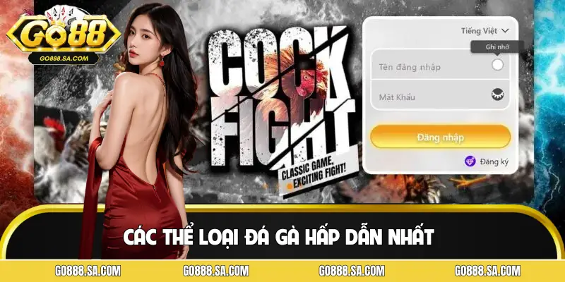 Các loại hình thi đấu trong sảnh SV388