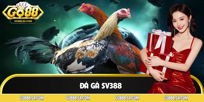 Đá Gà SV388 - Sân Chơi Đỉnh Cao Dành Cho Dân Chơi Thực Thụ