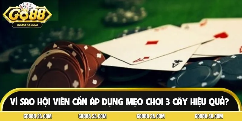 Lý do người chơi cần nắm rõ mẹo chơi bài